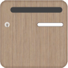 B100